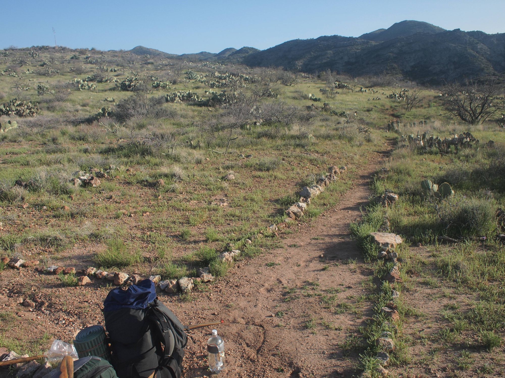 Two backpacks sit on the ground at a fork in the trail. 