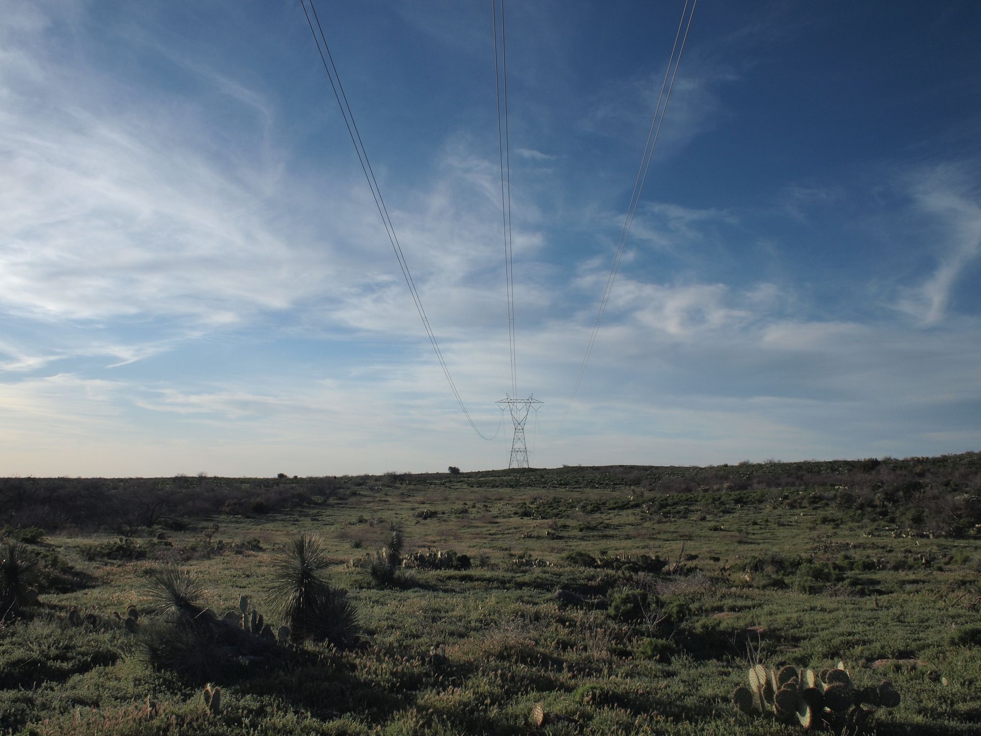 Giant power lines run overhead with a flat horizon line, blue sky and cactus in the foreground. 