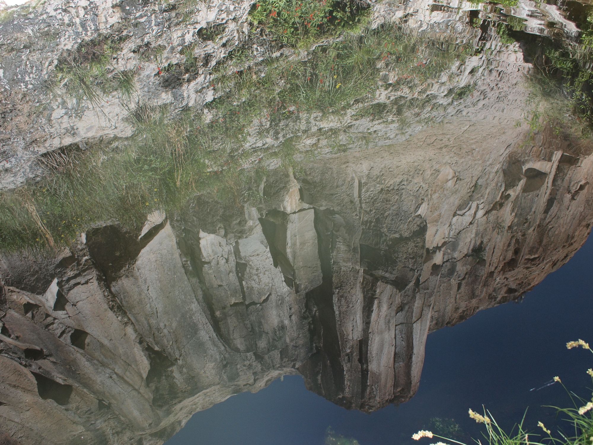 Grey canyon cliffs reflected into a still pool of water, surrounded by blooming plants. 