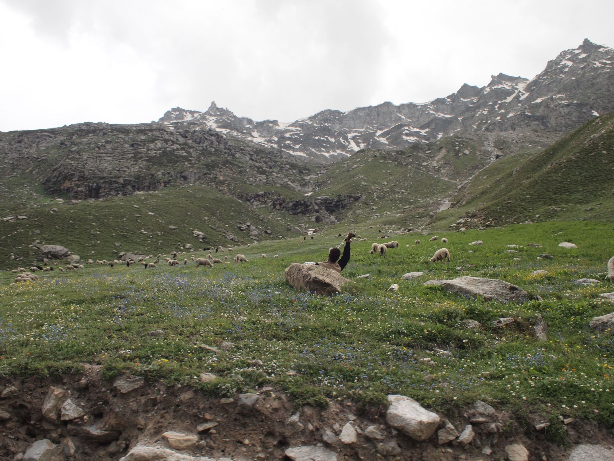 A man leans against a rock, his back to the camera as he spins wool. He is in the Himalaya mountains with a flower covered meadow with sheep and snowcapped peaks. 