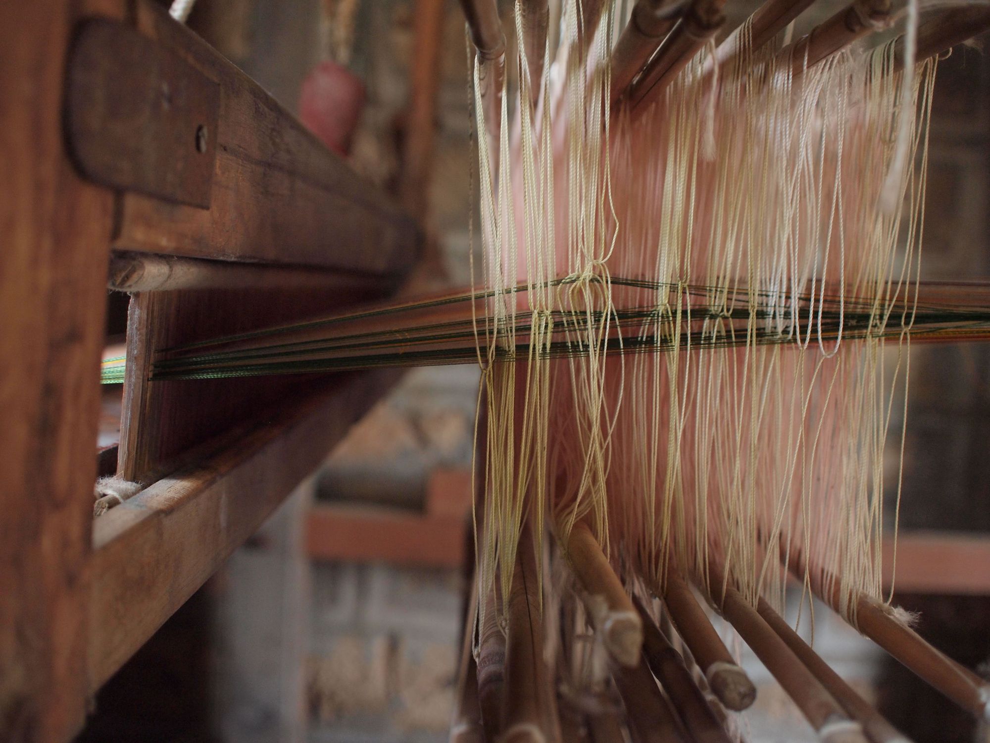 A close up photo of the heddles and threads of a loom