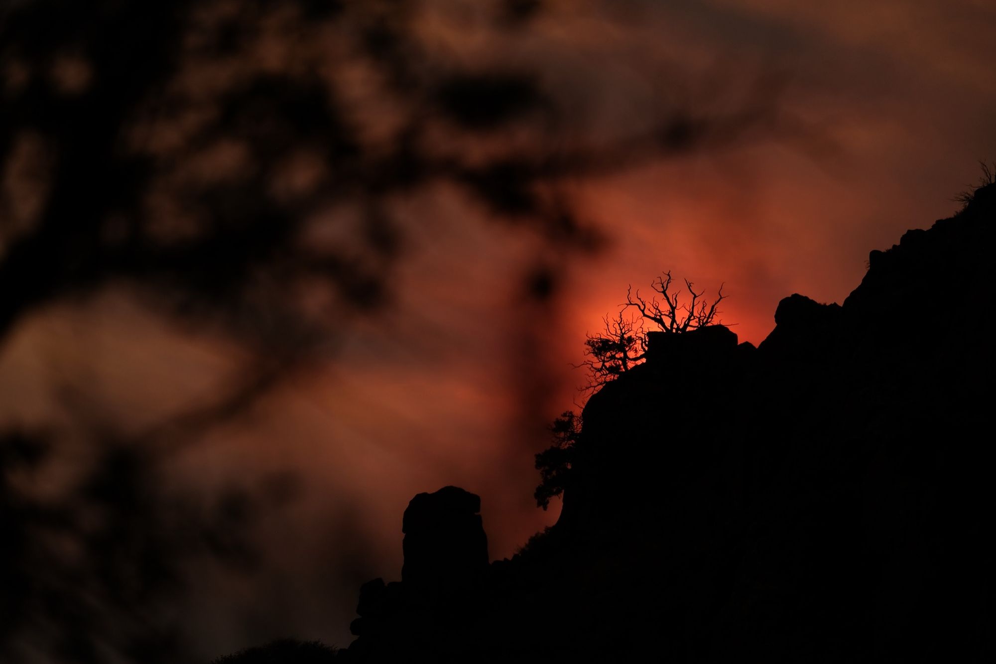 A bush and rocky hillside silhouetted against a bright red-orange-pink sunset