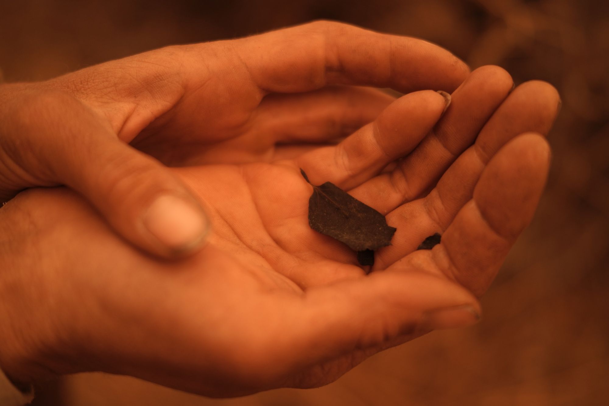 Two hands fill the frame, one cupping the other enclose a burnt aspen leaf chard and bubbled from intense fire.