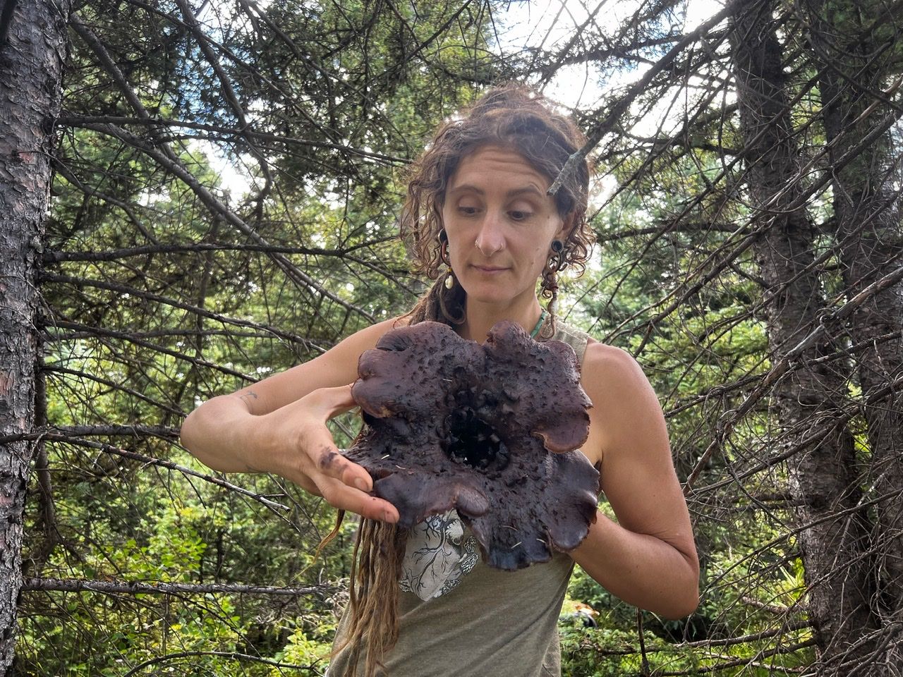 A woman standing in a dense pine forest holding a huge dark brown-black, scaly Mushroom 