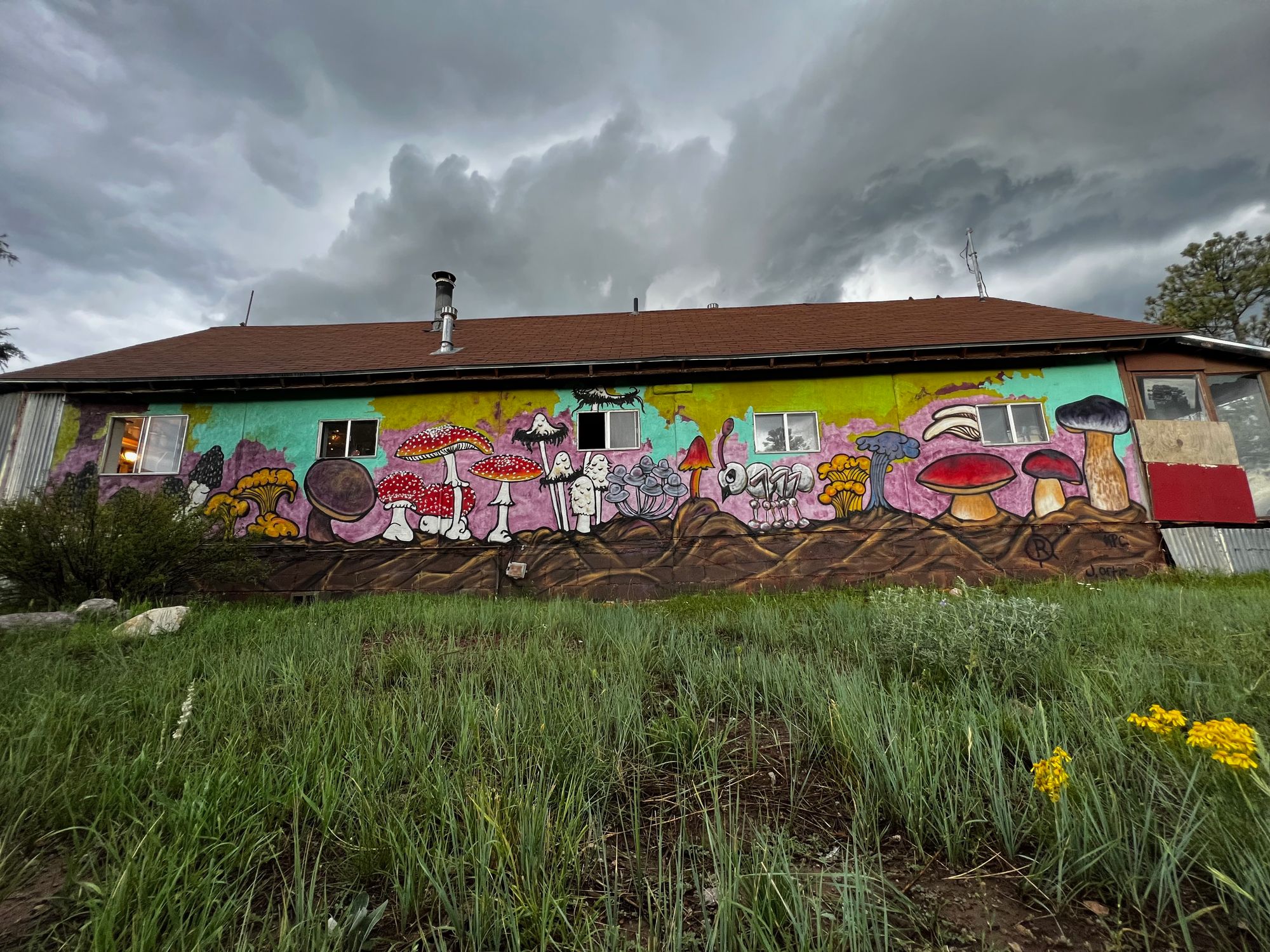 The side of a building with green grass, a brown roof and a stormy sky, painted with many multicolored mushrooms covering the entire side of the building