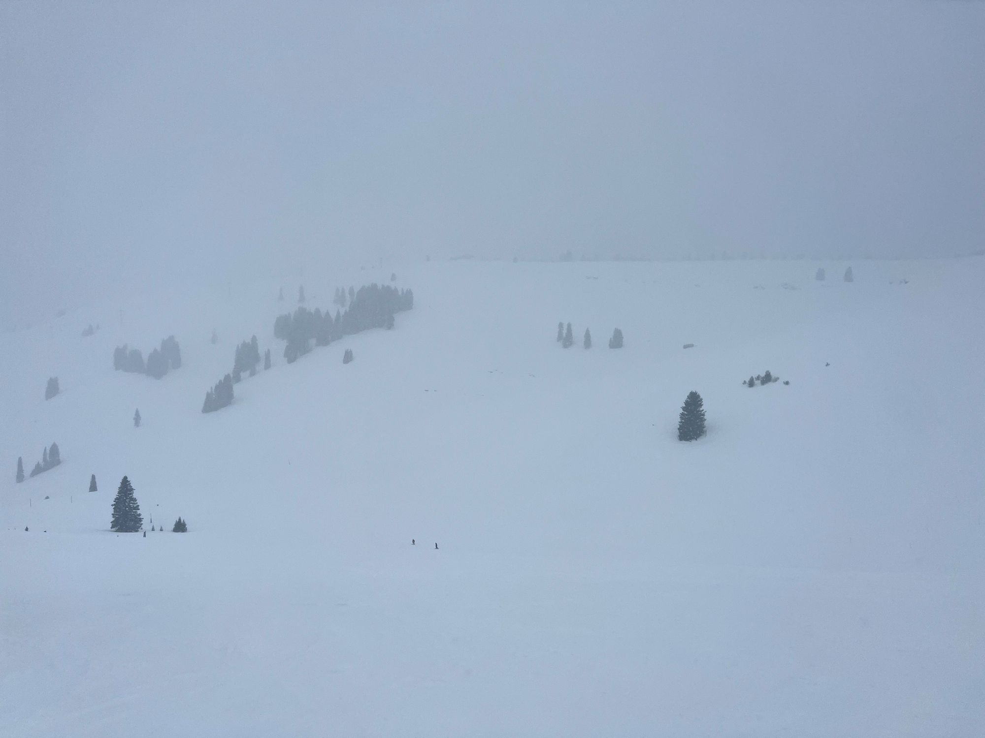 A vast open mountain bowl covered in snow during a whiteout blizzard with only a few trees visible.