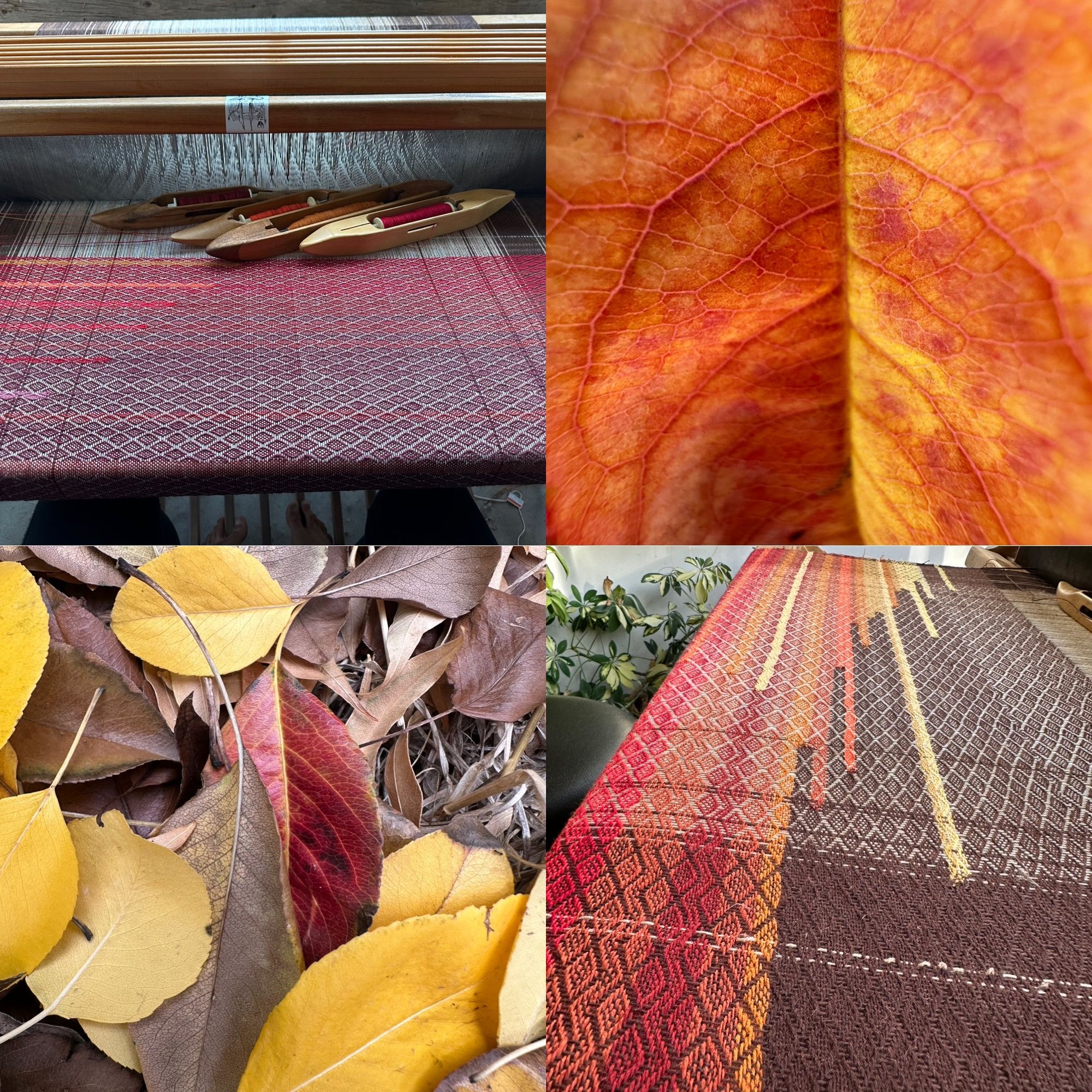 Four photos in a grid, two of the brown, orange, red and yellow leaves of fall, two of a loom with a weaving in progress, woven in diamond pattern in the same colors as the leaves