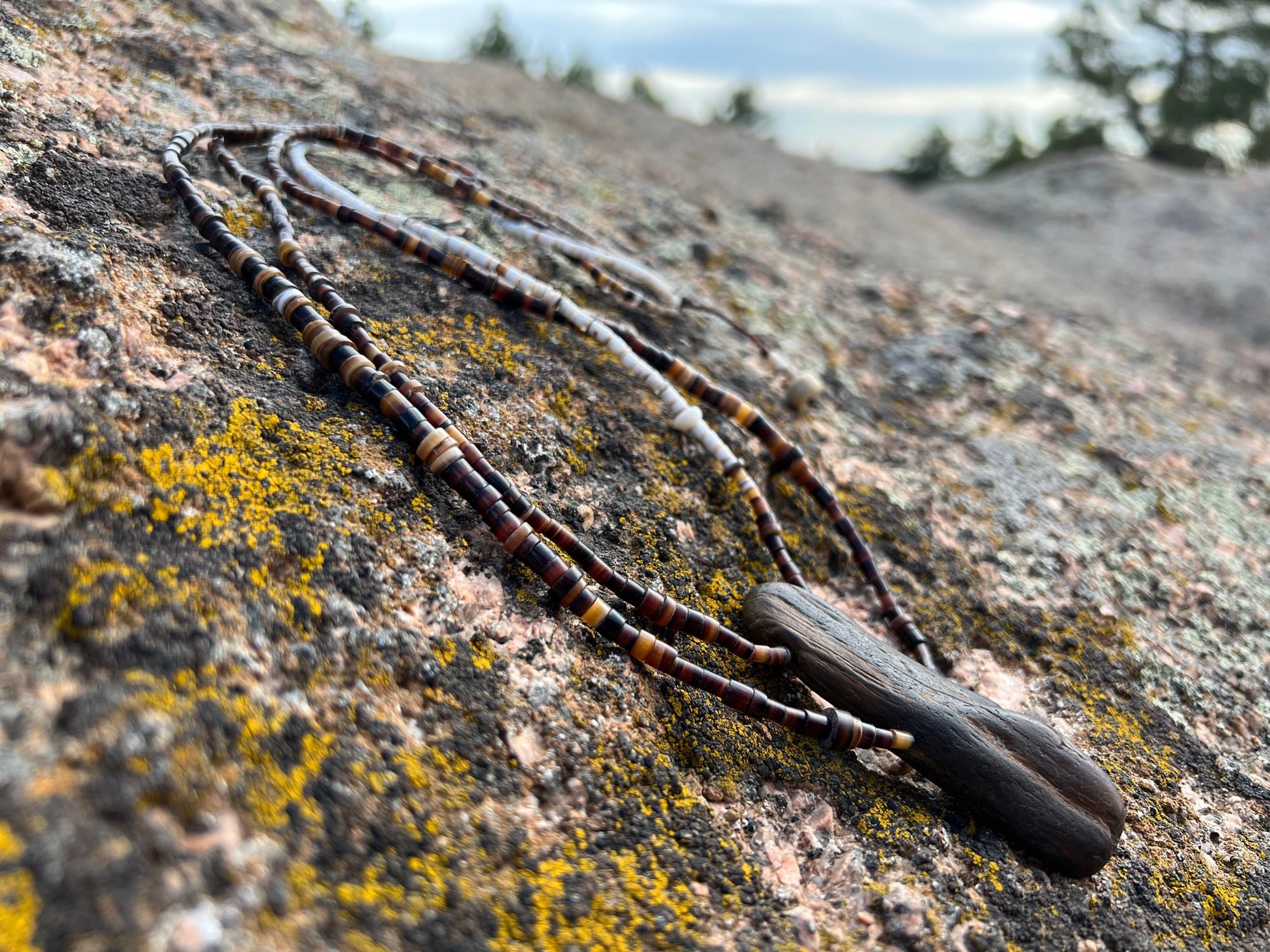 a necklace made of dark shell beads and petrified wood rests on yellow lichen covered rock