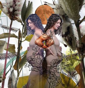 A collage image of a pregnant woman in mirror image, photographs of milkweed grass and a full moon