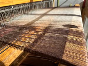a close up photo of a loom in bright sun with a fine thread warp of natural white and dark brown