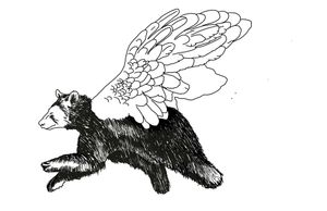 a black and white illustration of a black bear with pegasus wings