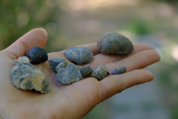 Dispatch № 4 · The Geology of Time