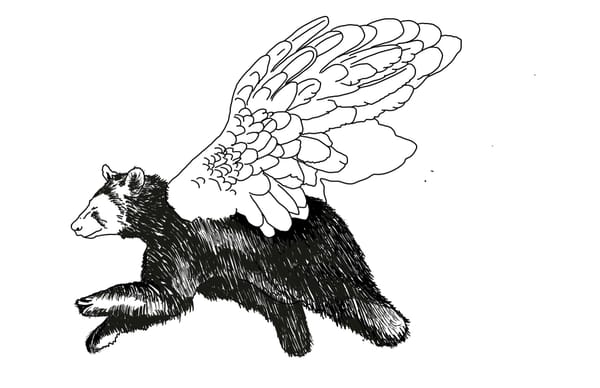 a black and white illustration of a black bear with pegasus wings