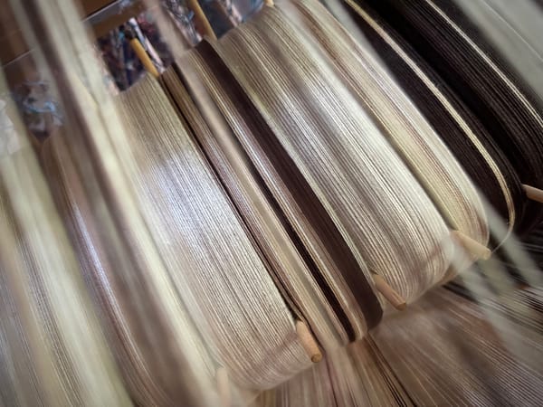 A close up image of the beam of a loom, loaded with white, cream, tan and brown threads