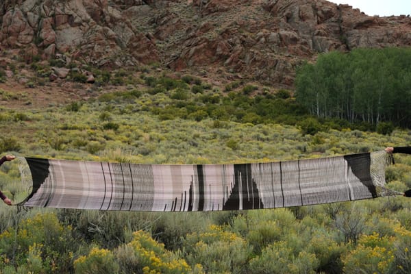 a length of handwoven fabric, in naturally dyed colors of soft cochineal pink and pomegranate-skin black, is stretched across a landscape